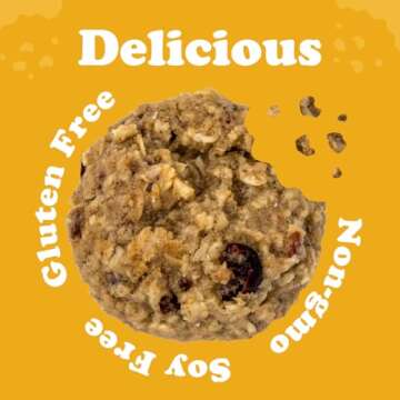 Alyssa’s Vegan Oatmeal Bites ⎸ Gluten Free Cookies, Healthy Snacks from the Bakery ⎸ Dairy Free, Sugar Free, Low Carb, Keto Protein Snacks ⎸ Gluten Free Snacks for Kids ⎸ 8 Cookies per box, 1 Pack