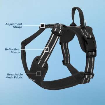 Air Frontier Mesh Dog Harness - Lightweight and Reflective