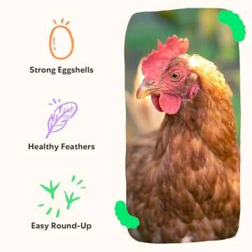 Grubblies - Black Soldier Fly Larvae for Chickens - Chicken Treats Grown in The US and Canada - for Strong Eggshells and Healthy Feathers - Grubblies Hometown Harvest 5LB