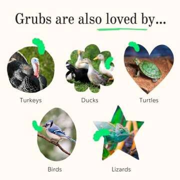 Grubblies - Black Soldier Fly Larvae for Chickens - Chicken Treats Grown in The US and Canada - for Strong Eggshells and Healthy Feathers - Grubblies Hometown Harvest 5LB