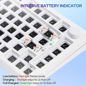 EPOMAKER Aura75 75% Mechanical Keyboard Kit, Hot Swappable Custom Keyboard Kit, 2.4Ghz/Bluetooth 5.0/USB-C Wired Wireless Gaming DIY Kit, with Silicone Pad, RGB Backlight for Win/Mac/Gaming (White)