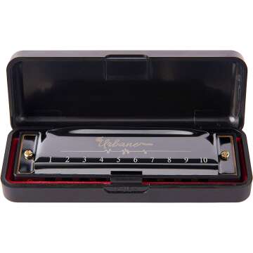 Adult Harmonica Set
