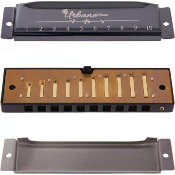 Adult Harmonica Set
