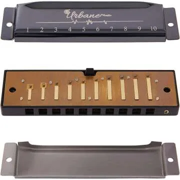 Adult Harmonica Set