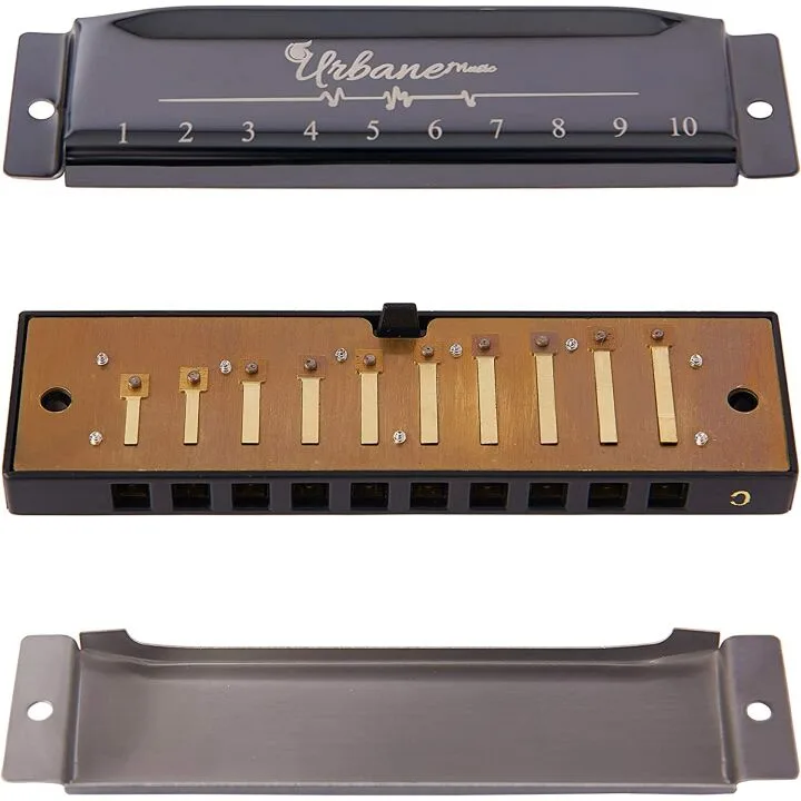 Adult Harmonica Set