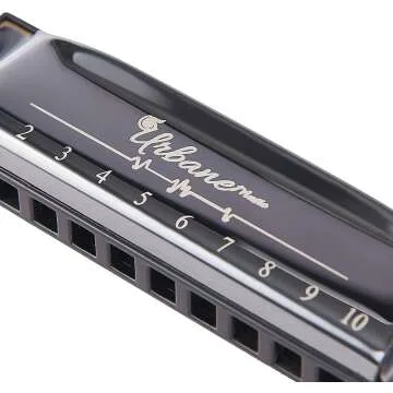 Adult Harmonica Set