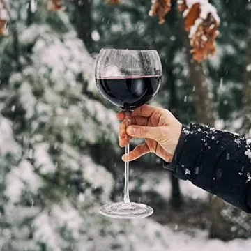 Snute Elegant Crystal Wine Glasses Perfect for Gifting