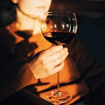 Snute Elegant Crystal Wine Glasses Perfect for Gifting