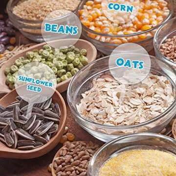 Custom Acrylic Cupcake Toppers for Any Celebration