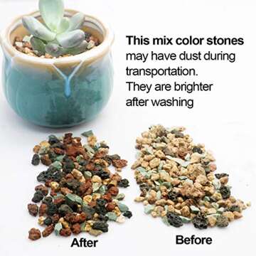 Mix Horticultural Lava Rock Pebbles Pumice Potting Soil Amendment Succulent Cactus Bonsai Gritty Roc...