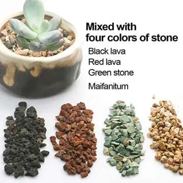 Premium Horticultural Lava Rock Pebbles for Succulents