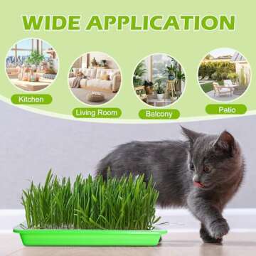 EBaokuup 10Pcs Seed Sprouter Tray with Drain Holes - BPA Free Seed Garden Plant Germination Propagation Trays, Soil-Free Wheatgrass Tray Sprouter Microgreens Growing Kit with Germinating Paper