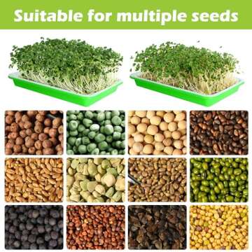 EBaokuup 10Pcs Seed Sprouter Tray with Drain Holes - BPA Free Seed Garden Plant Germination Propagation Trays, Soil-Free Wheatgrass Tray Sprouter Microgreens Growing Kit with Germinating Paper