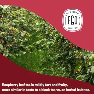 FGO Organic Red Raspberry Herbal Tea for Any Time Enjoyment