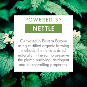 Klorane Dry Shampoo with Nettle for Brunette Hair