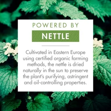 Klorane Dry Shampoo with Nettle for Brunette Hair