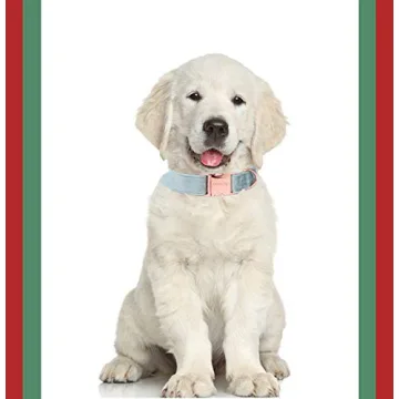 ARING PET Dog Collar and Leash, Velvet Dog Collar and Leash Set, Soft & Comfy, Adjustable Collars for Dogs