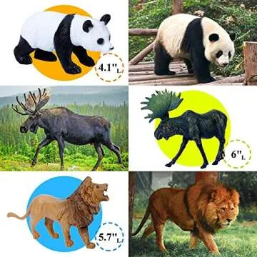 Safari Animal Toys Figures, 12 PCS Realistic Jumbo Wild Jungle Animals Figurines, Large African Zoo Animal Playset with Lion,Elephant,Giraffe, Plastic Animal Learning Toys for Kids Toddlers Boys