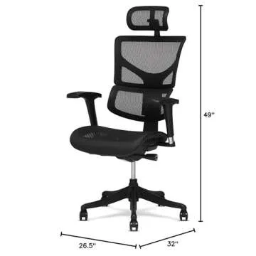 X-Chair X1 High End Task Chair, Black Flex Mesh with Headrest - Ergonomic Office Seat/Dynamic Variable Lumbar Support/Highly Adjustable/Relaxed Recline/Perfect for Office or Home Desk
