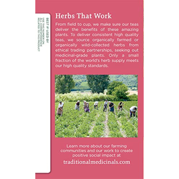 Organic Pregnancy Herbal Tea for Expecting Mothers 16 Bags