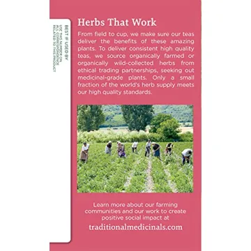 Organic Pregnancy Herbal Tea for Expecting Mothers 16 Bags