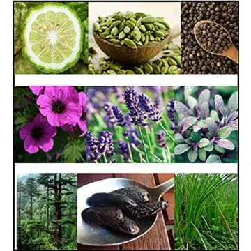 FILA Eau de Toilette for Men - Cool, Clean, Refreshing - A Classic Cologne For Men - Extra Strength, Long Lasting Scent Payoff - Trendy, Rectangular, Streamlined, Portable Bottle Design - 3.4 oz