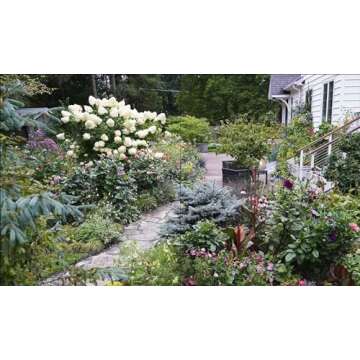 American Roots: Lessons and Inspiration from the Designers Reimagining Our Home Gardens