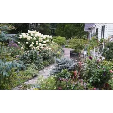 American Roots: Lessons and Inspiration from the Designers Reimagining Our Home Gardens