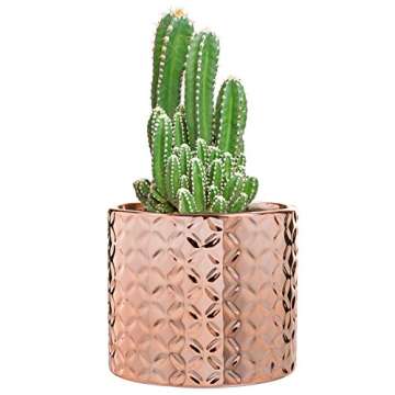 MyGift 5-Inch Rose Gold Decorative Plant Pot