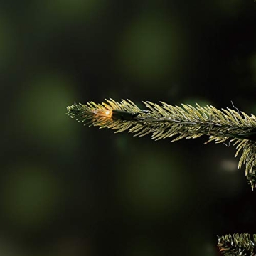 Evergreen Classics 7.5 ft Pre-Lit Colorado Spruce Artificial Christmas Tree, Warm White LED Lights