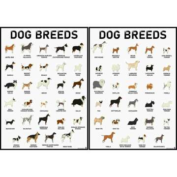 3D Learning LLF Dog Breeds Posters Set – 58 Unique Designs for Dog Lovers