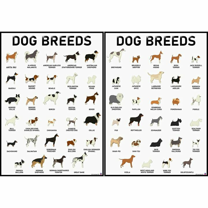 Dog Breeds Posters Set - 58 Unique Designs for Dog Lovers