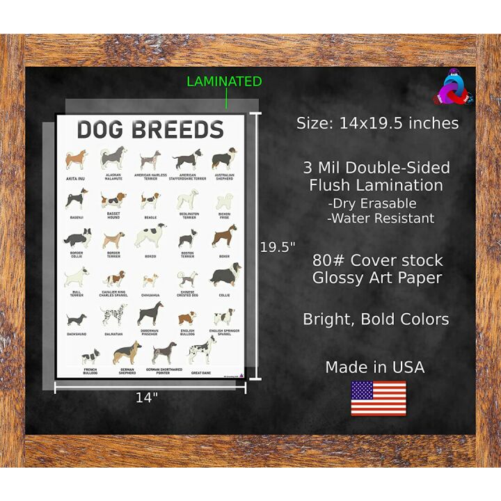 Dog Breeds Posters Set - 58 Unique Designs for Dog Lovers