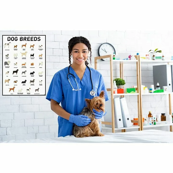 Dog Breeds Posters Set - 58 Unique Designs for Dog Lovers