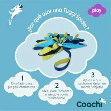 Coachi Tuggi Spider Interactive Dog Toy for Fun Play