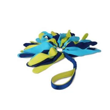 Coachi Tuggi Spider Interactive Dog Toy for Fun Play