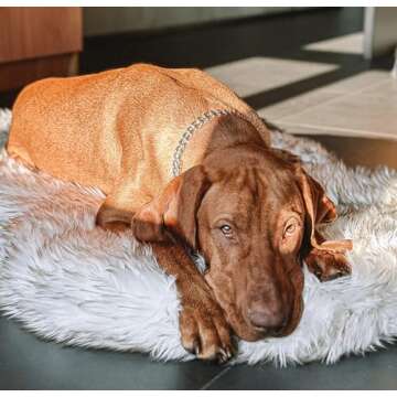 IHAPPYDOG Luxury Faux Fur Orthopedic Dog Bed, Memory Foam Dog Bed​ for​ Small, Medium, Large and XL Pets, Fluffy Pet Bed with Waterproof ​and ​Washable Cover, White, Large/Extra Large 50x30