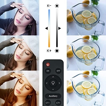 MOUNTDOG Softbox Lighting Kit with Remote and Adjustable Colors