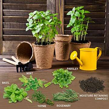 Hand-Mart Herb Garden Kit - Grow 5 Delicious Herbs at Home