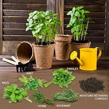 Hand-Mart Herb Garden Kit - Grow 5 Delicious Herbs at Home