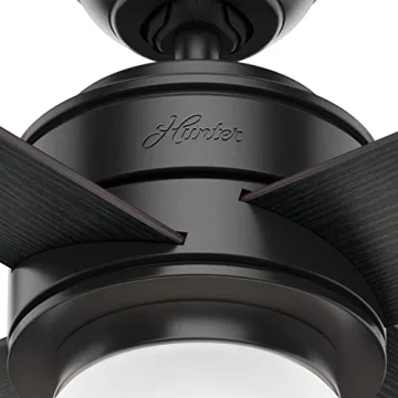 Hunter Hepburn 52" Matte Black Ceiling Fan with LED Light