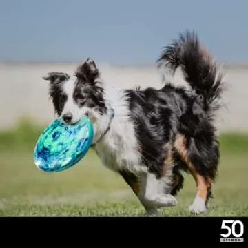 50 Strong Set of 2 Sports Flying Discs for Beach, Backyard, Camping & Outdoor Games | 145g Ultimate Frisbee Style Disc for Adults & Kids | Made in USA