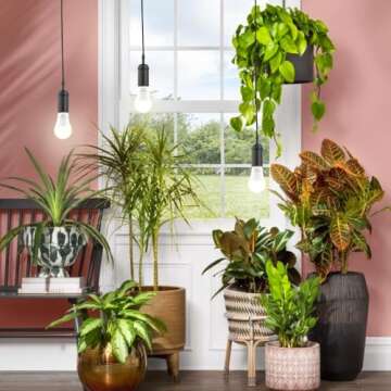 mfxmf 4 Pack LED Grow Light Bulb A19 Bulb, Full Spectrum Plant Light Bulb, 9W E26 Grow Bulb Replace up to 80W, Grow Light for Indoor Plants, Flowers, Greenhouse, Indore Garden, Hydroponic