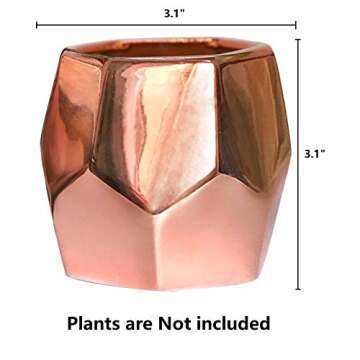 GeLive Hexagon Rose Gold Succulent Planter, Ceramic Geometric Cactus Plant Pot, Modern Window Box with Drainage Hole, Home Accent Décor (Hexagon Planter)