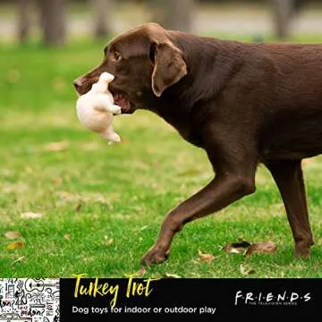 Friends the TV Show Turkey Head Plush Dog Toy | Soft Cute Squeaky Toy for All Dogs | Stuffed Animal Dog Toys with Squeaker for Added Fun from Friends Thanksgiving Episode 8 Inch