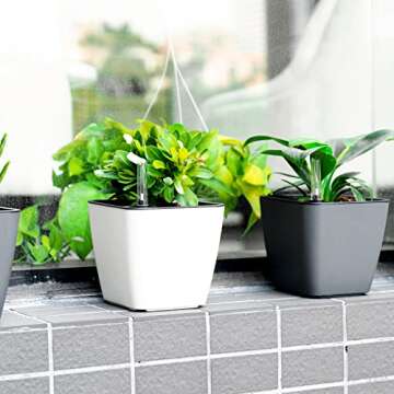 Vanslogreen 5.24'' Self Watering Planters - 6 Pack Flower Pots for Indoor Plants with Water Level Indicator, Self Watering Pot for Herbs, Succulents, African Violet, Outdoor Gardening-White