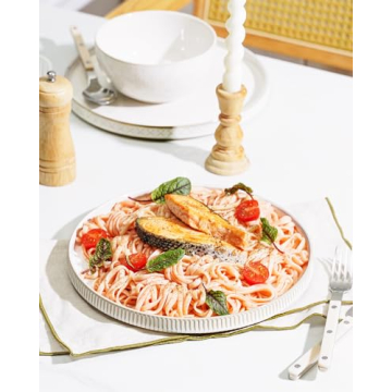 Getstar 10.5" Ceramic Dinner Plates Set of 4