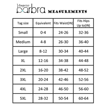 Barbra Lingerie Tummy Control Briefs for Women - 4 Pack