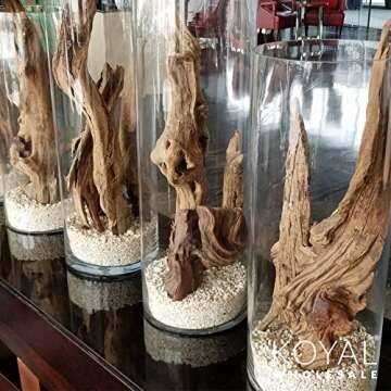 Koyal Wholesale 18” Driftwood Terrarium Decor, Clean California Manzanita Drift Wood Reptile Decor, Driftwood Decor for Home, Desert Reptile Supplies, Small or Large Driftwood Branches for Reptiles