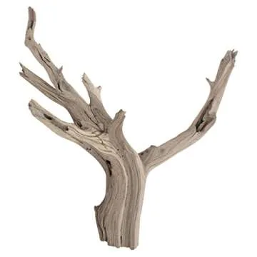 Koyal Wholesale 18” Driftwood Terrarium Decor, Clean California Manzanita Drift Wood Reptile Decor, Driftwood Decor for Home, Desert Reptile Supplies, Small or Large Driftwood Branches for Reptiles